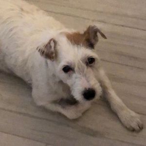 Meet your Posher, Monica